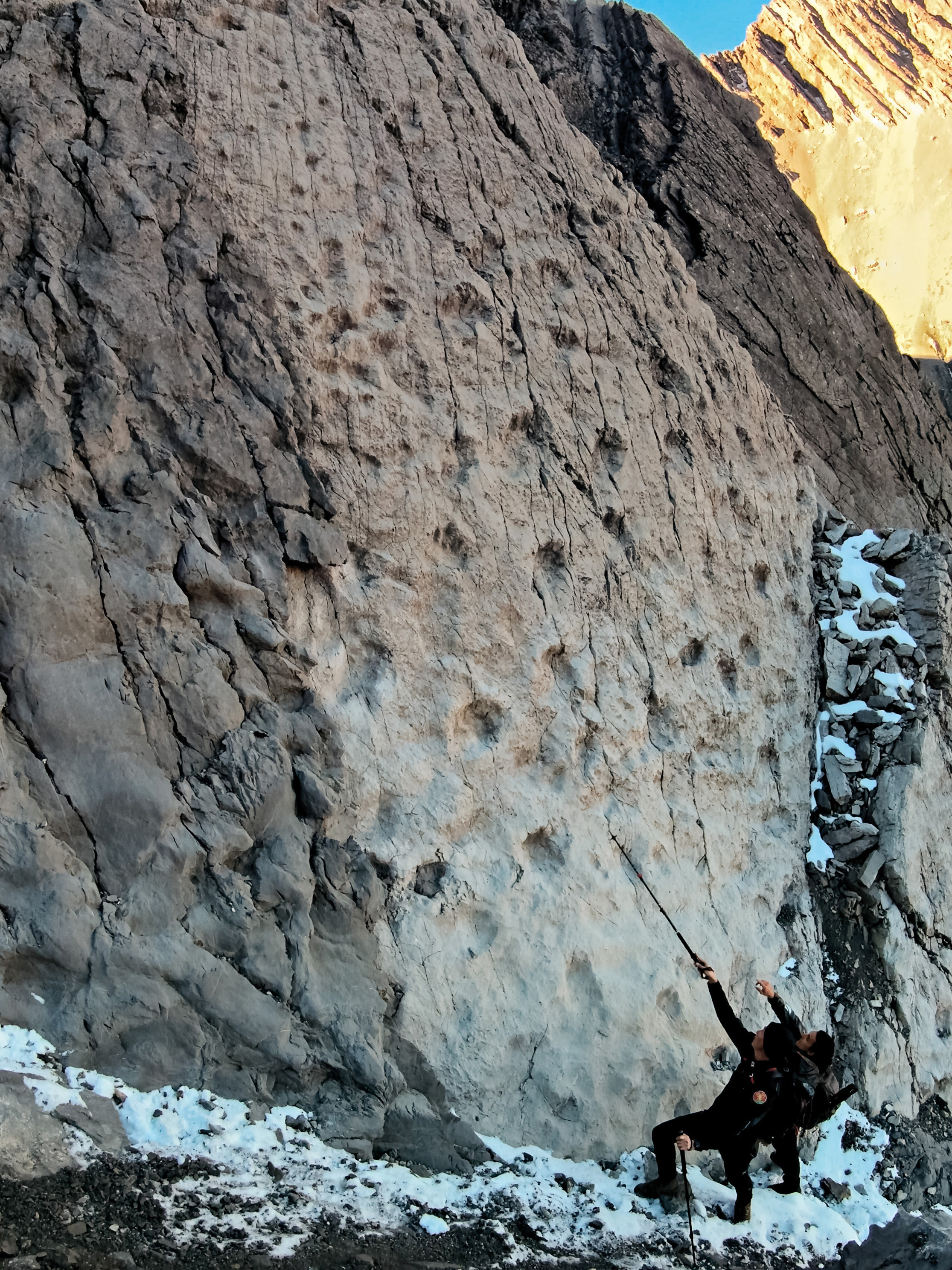 The scale and number of the prints become clearer when humans are present